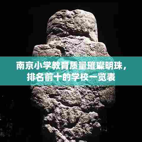 南京小学教育质量璀璨明珠,排名前十的学校一览表