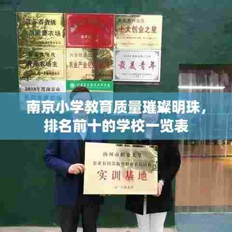 南京小学教育质量璀璨明珠,排名前十的学校一览表