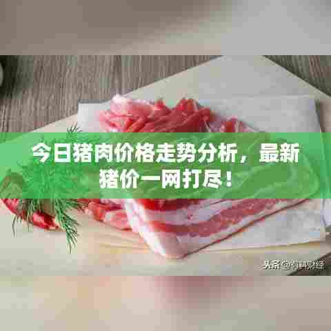 今日猪肉价格走势分析，最新猪价一网打尽！