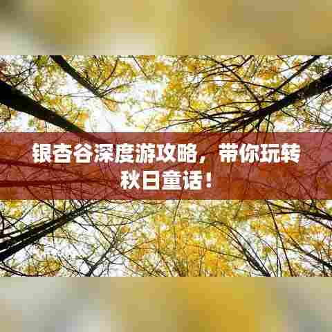 银杏谷深度游攻略,带你玩转秋日童话!