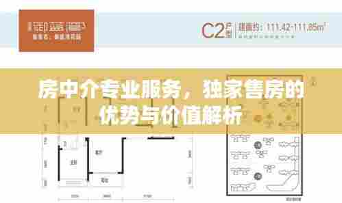 房中介专业服务,独家售房的优势与价值解析