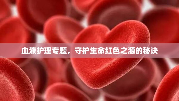 血液护理专题,守护生命红色之源的秘诀