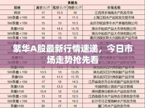 繁华A股最新行情速递,今日市场走势抢先看