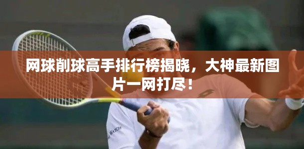 网球削球高手排行榜揭晓,大神最新图片一网打尽!