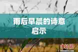 雨后早晨的诗意启示