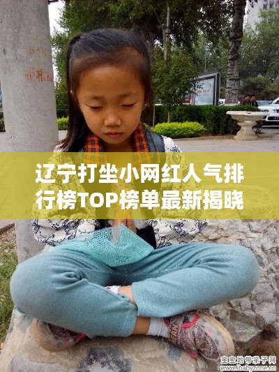 辽宁打坐小网红人气排行榜TOP榜单最新揭晓