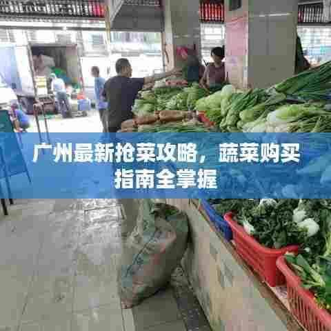 广州最新抢菜攻略,蔬菜购买指南全掌握