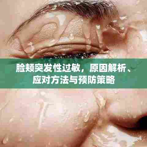 脸颊突发性过敏，原因解析、应对方法与预防策略