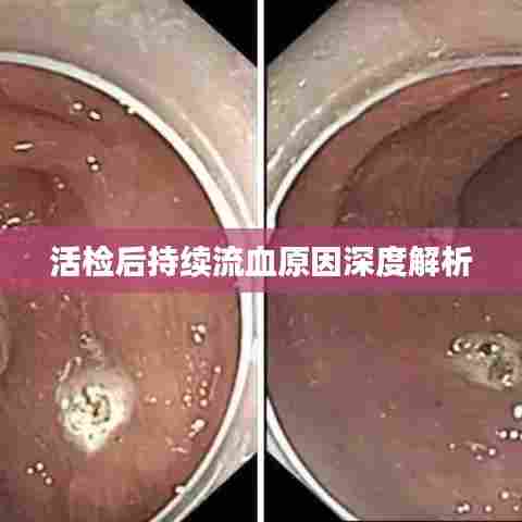 碧瓦飞甍 第6页