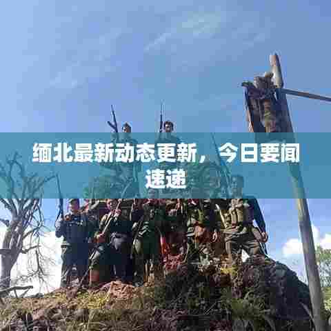 缅北最新动态更新，今日要闻速递