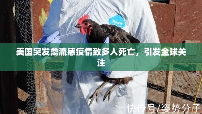美国突发禽流感疫情致多人死亡，引发全球关注