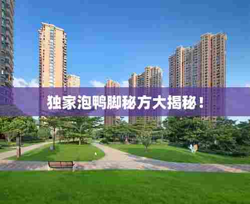 独家泡鸭脚秘方大揭秘!