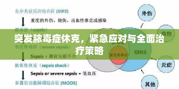 突发脓毒症休克，紧急应对与全面治疗策略