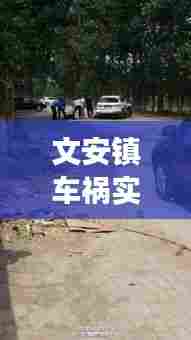 文安镇车祸实时更新,最新消息与现场情况揭秘