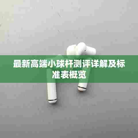 最新高端小球杆测评详解及标准表概览