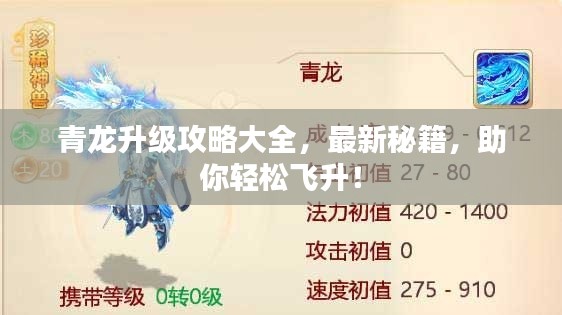 青龙升级攻略大全,最新秘籍,助你轻松飞升!