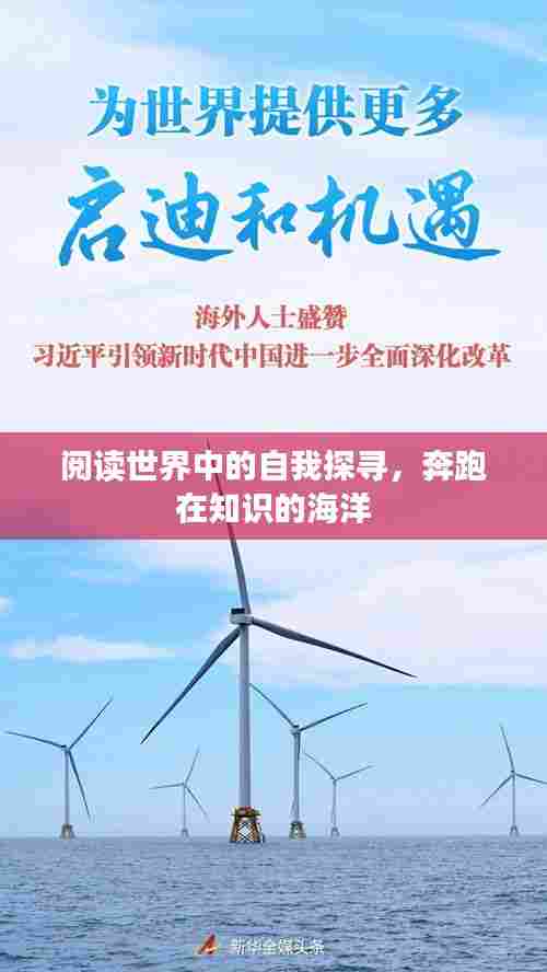 阅读世界中的自我探寻,奔跑在知识的海洋