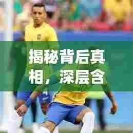 揭秘背后真相,深层含义与重要性的探索与解读