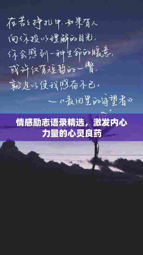 情感励志语录精选,激发内心力量的心灵良药