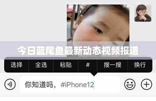 今日蓝尾鱼最新动态视频报道