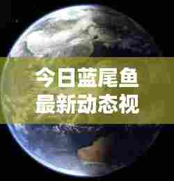 今日蓝尾鱼最新动态视频报道