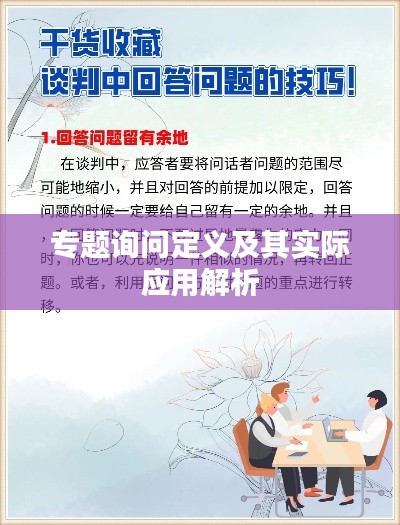 专题询问定义及其实际应用解析