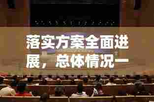 落实方案全面进展,总体情况一览