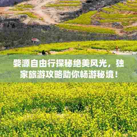 婺源自由行探秘绝美风光,独家旅游攻略助你畅游秘境!