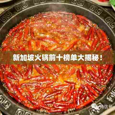 新加坡火锅前十榜单大揭秘!