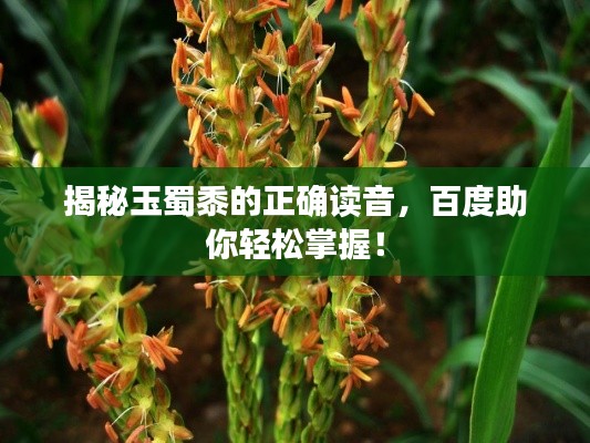揭秘玉蜀黍的正确读音,百度助你轻松掌握!