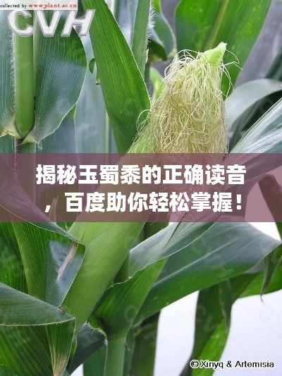 揭秘玉蜀黍的正确读音,百度助你轻松掌握!
