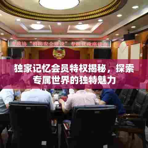 独家记忆会员特权揭秘，探索专属世界的独特魅力
