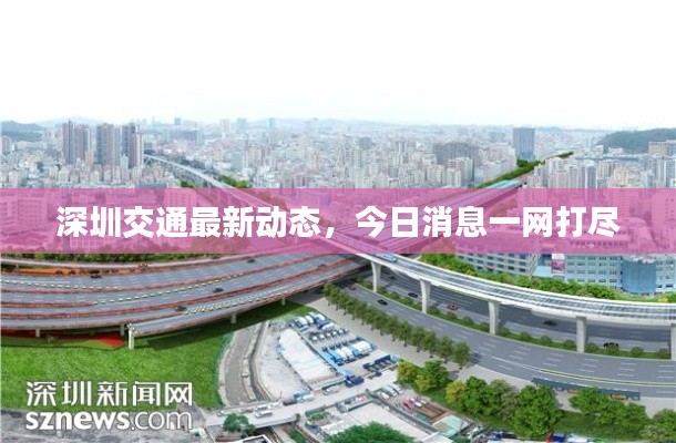 深圳交通最新动态,今日消息一网打尽