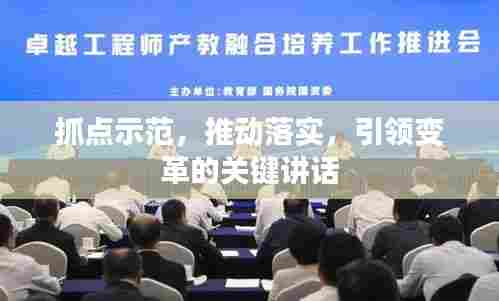 抓点示范,推动落实,引领变革的关键讲话