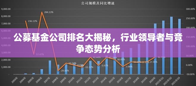 公募基金公司排名大揭秘，行业领导者与竞争态势分析