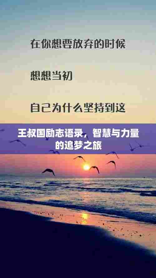 王叔国励志语录,智慧与力量的追梦之旅