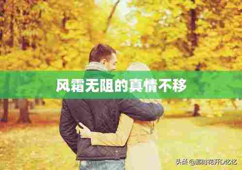 风霜无阻的真情不移
