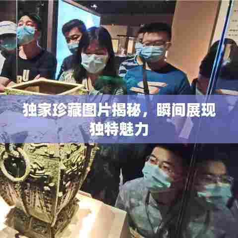 独家珍藏图片揭秘,瞬间展现独特魅力