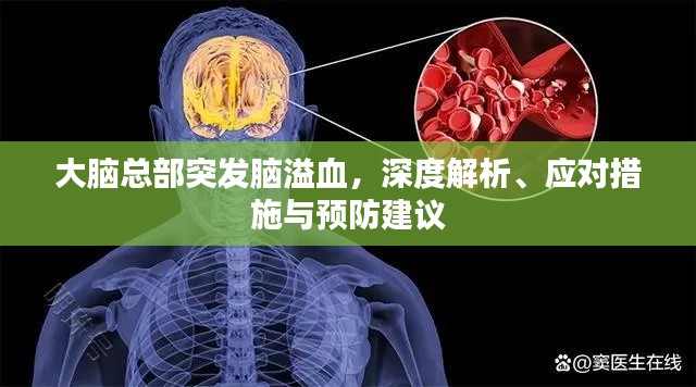 大脑总部突发脑溢血，深度解析、应对措施与预防建议