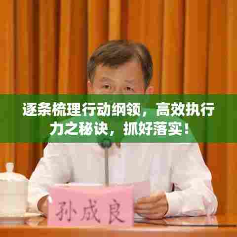 逐条梳理行动纲领，高效执行力之秘诀，抓好落实！