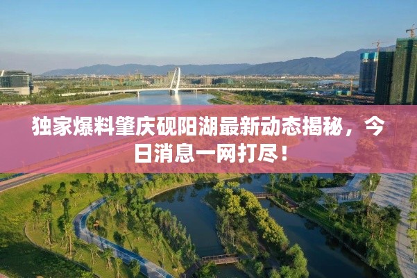 独家爆料肇庆砚阳湖最新动态揭秘,今日消息一网打尽!