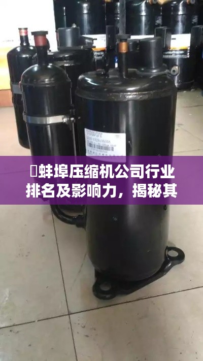 ​蚌埠压缩机公司行业排名及影响力，揭秘其稳固地位