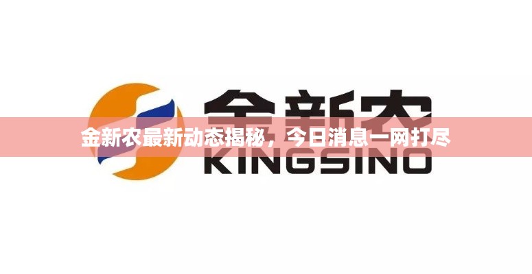 金新农最新动态揭秘，今日消息一网打尽
