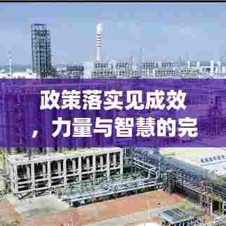 政策落实见成效,力量与智慧的完美融合之旅