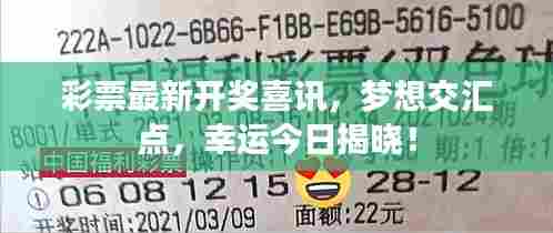 彩票最新开奖喜讯,梦想交汇点,幸运今日揭晓!