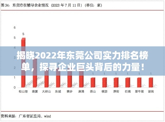 揭晓2022年东莞公司实力排名榜单,探寻企业巨头背后的力量!