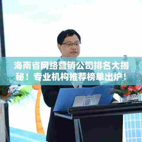 海南省网络营销公司排名大揭秘!专业机构推荐榜单出炉!