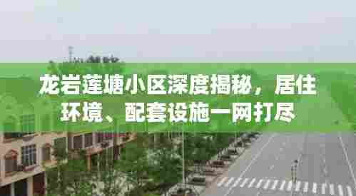 龙岩莲塘小区深度揭秘,居住环境、配套设施一网打尽