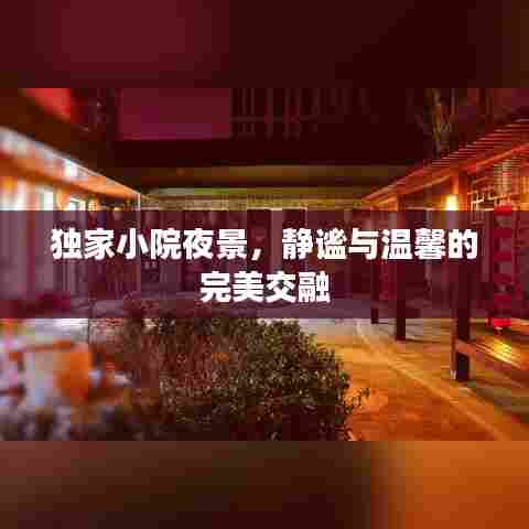独家小院夜景,静谧与温馨的完美交融