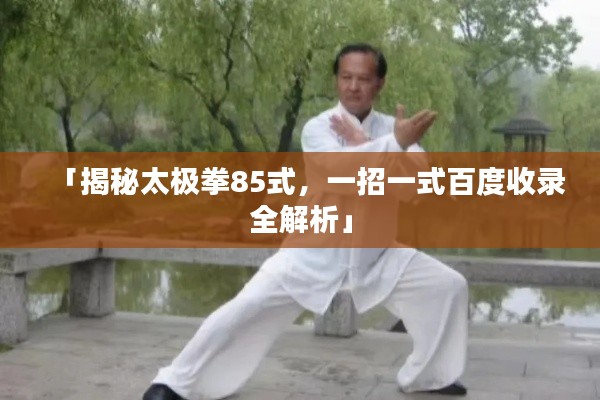 「揭秘太极拳85式,一招一式百度收录全解析」